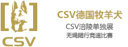 CSV